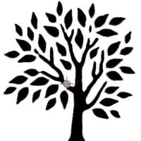 Xclusivis