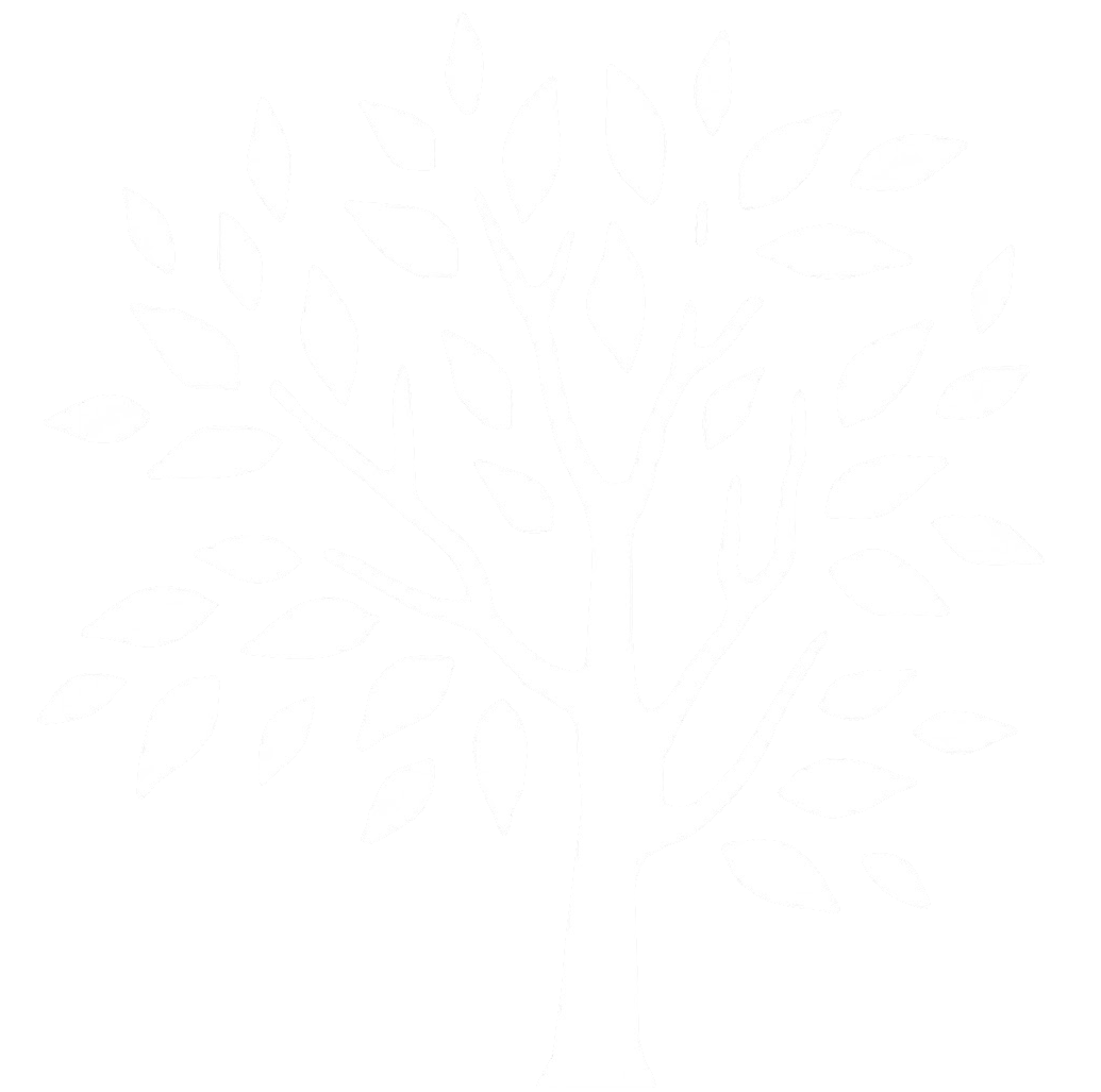 xclusivis